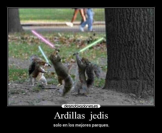 Ardillas  jedis - solo en los mejores parques.