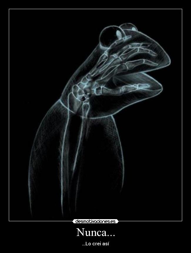 Nunca... -