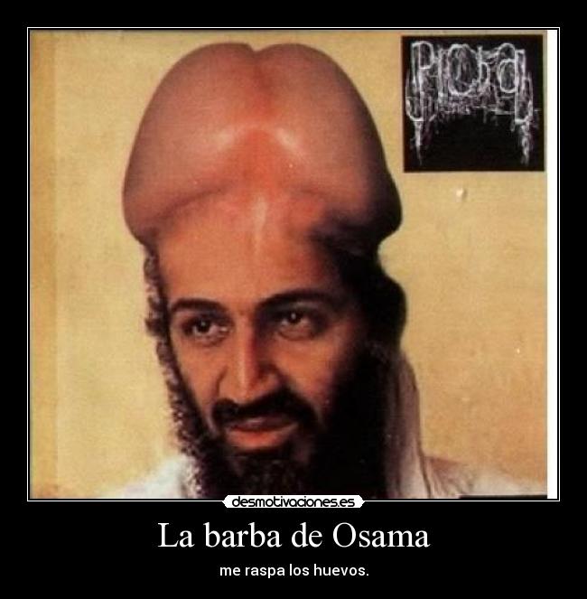La barba de Osama -