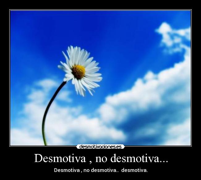 Desmotiva , no desmotiva... -