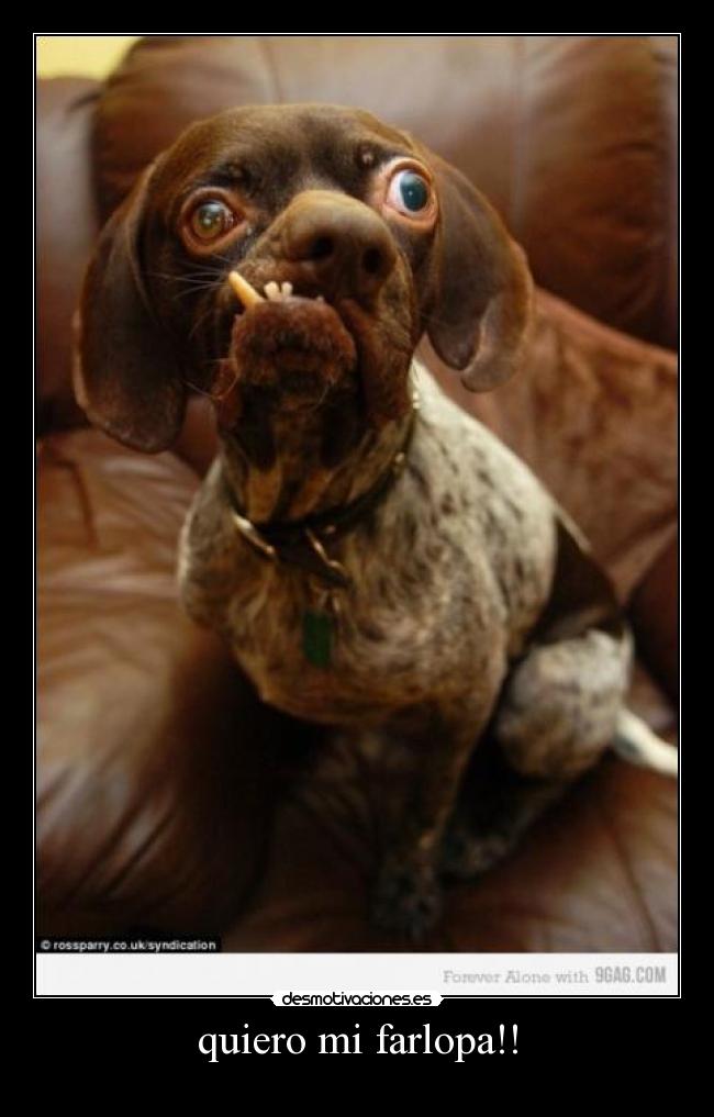 carteles perro farlopero desmotivaciones