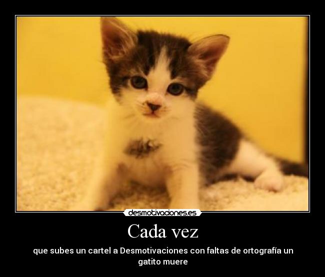 Cada vez - que subes un cartel a Desmotivaciones con faltas de ortografía un gatito muere