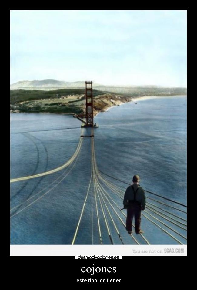 cojones - este tipo los tienes