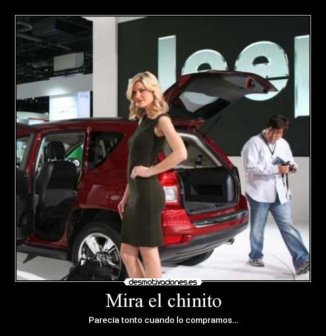 Mira el chinito - Parecía tonto cuando lo compramos...