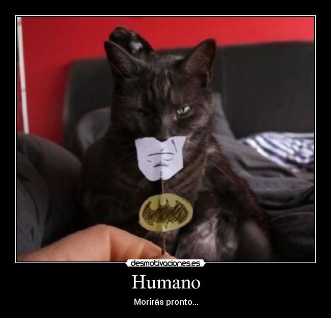 Humano -