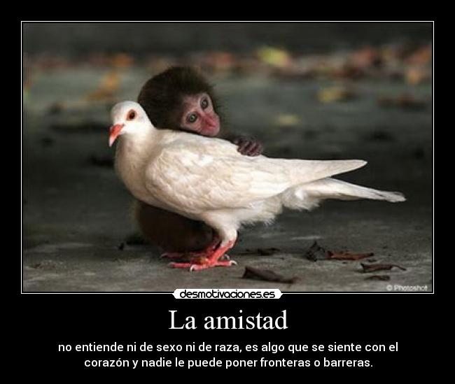 La amistad -