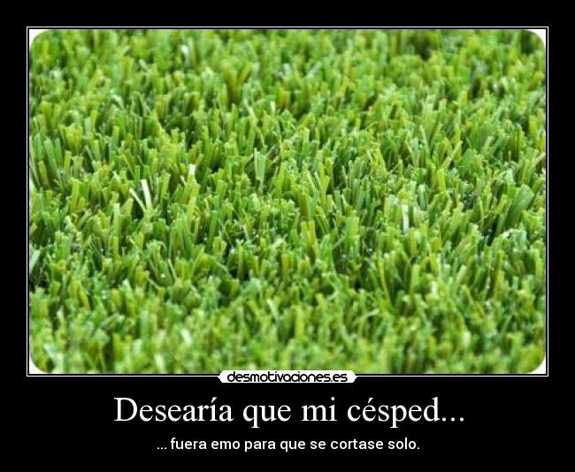 Desearía que mi césped... -
