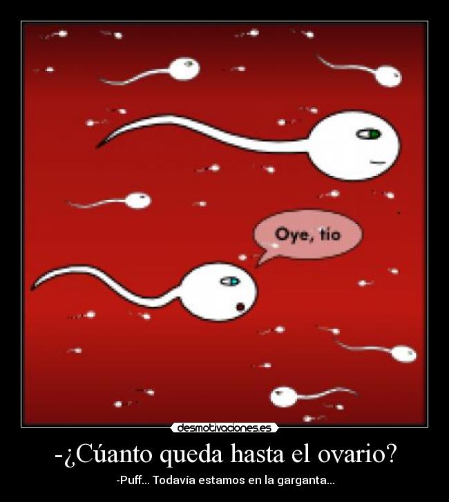 -¿Cúanto queda hasta el ovario? - 