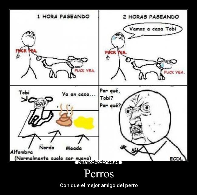 Perros - Con que el mejor amigo del perro