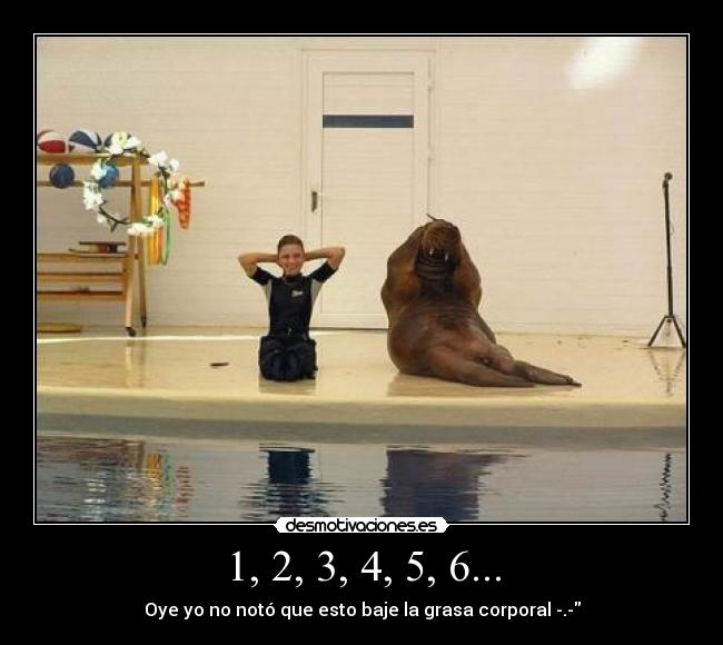 1, 2, 3, 4, 5, 6... - 