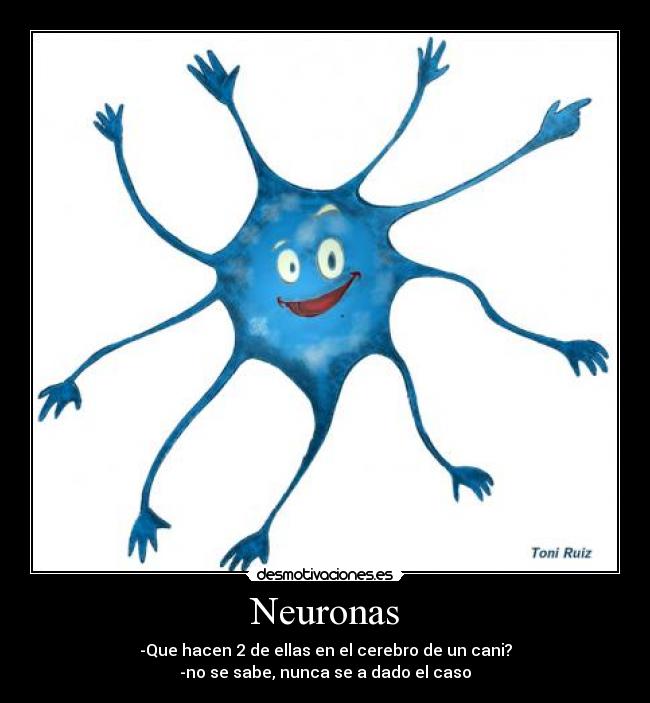 Neuronas -