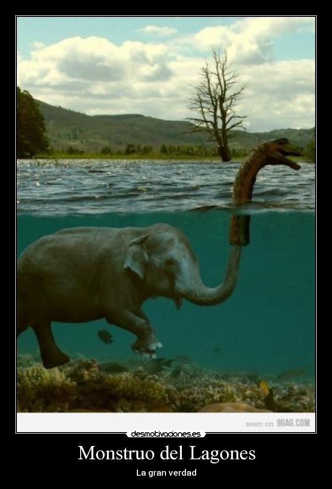 carteles dadad desmotivaciones