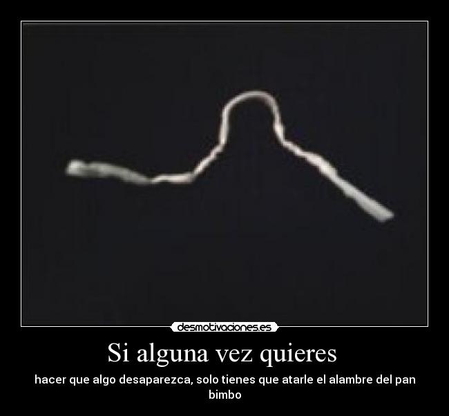 Si alguna vez quieres -