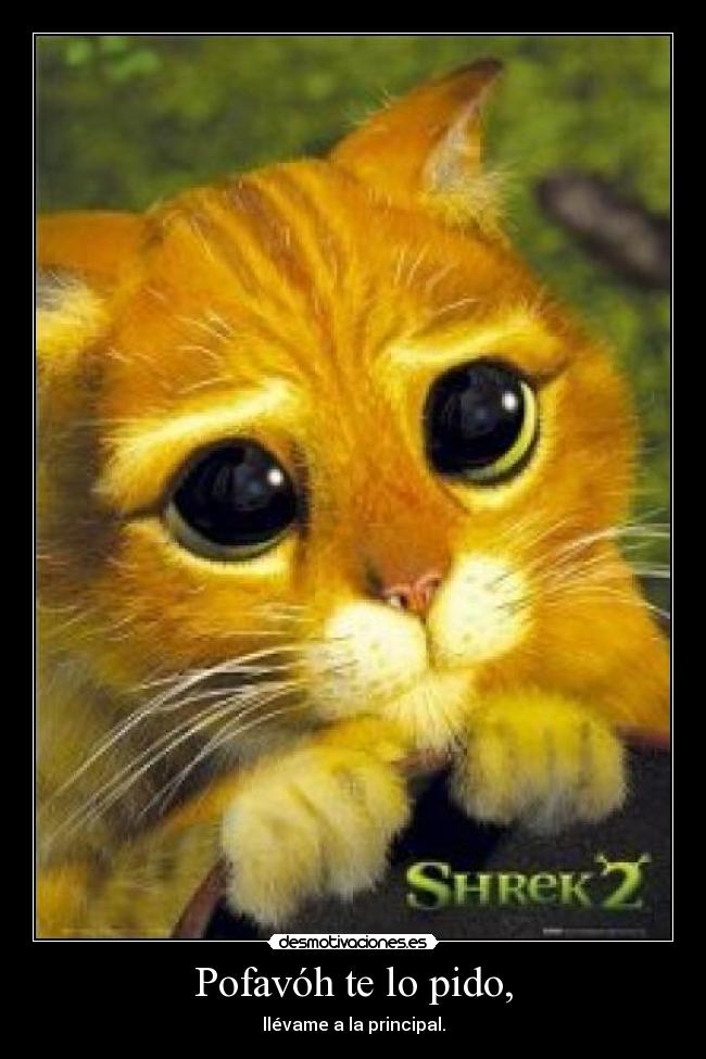 Pofavóh te lo pido, -