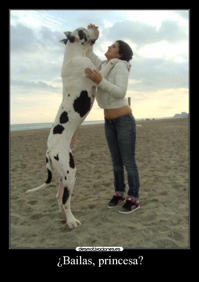 ¿Bailas, princesa? - 