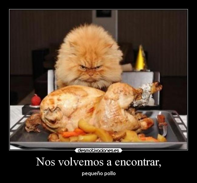 Nos volvemos a encontrar, - 