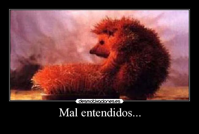 Mal entendidos... - 