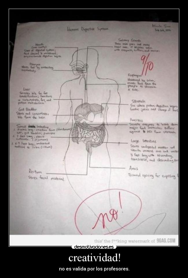 creatividad! - no es valida por los profesores.