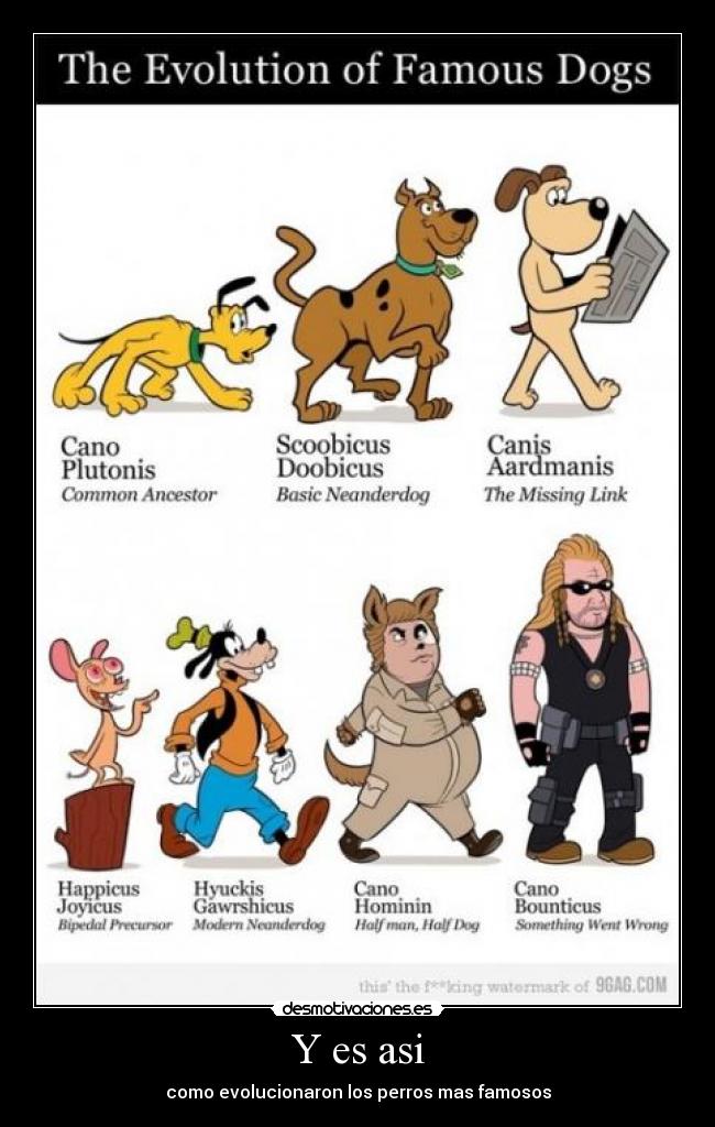Y es asi - como evolucionaron los perros mas famosos