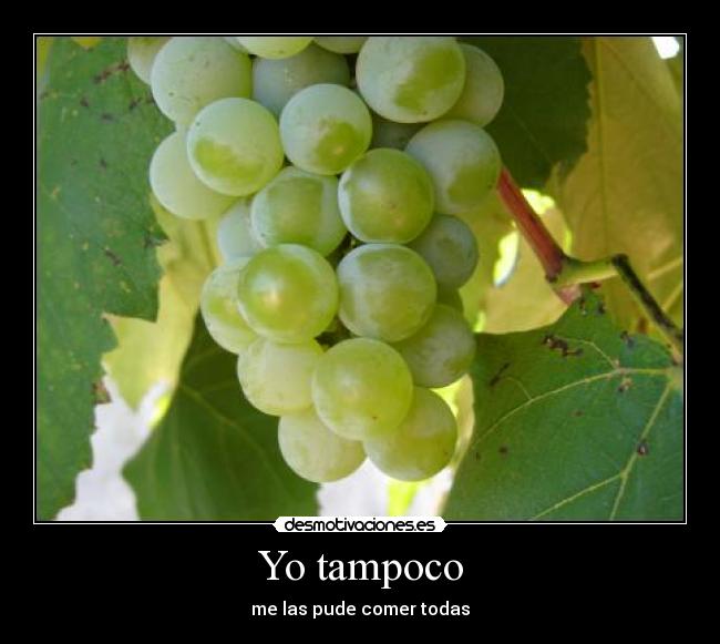 Yo tampoco - 