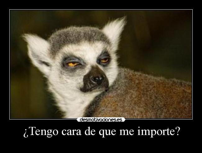 ¿Tengo cara de que me importe? - 