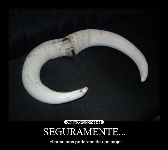 SEGURAMENTE... - 