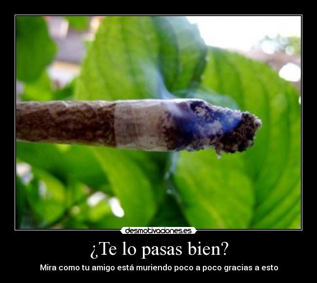 ¿Te lo pasas bien? - Mira como tu amigo está muriendo poco a poco gracias a esto