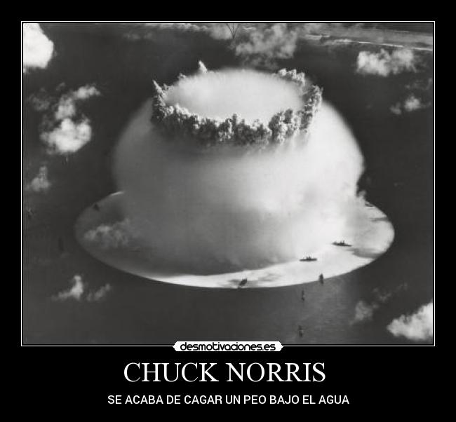 CHUCK NORRIS  - 