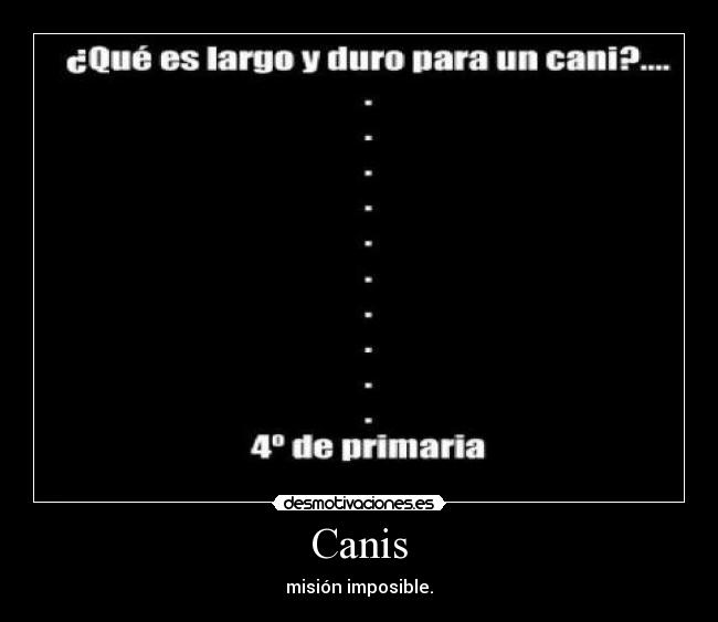 Canis -
