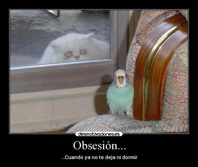 carteles siesq verdad desmotivaciones