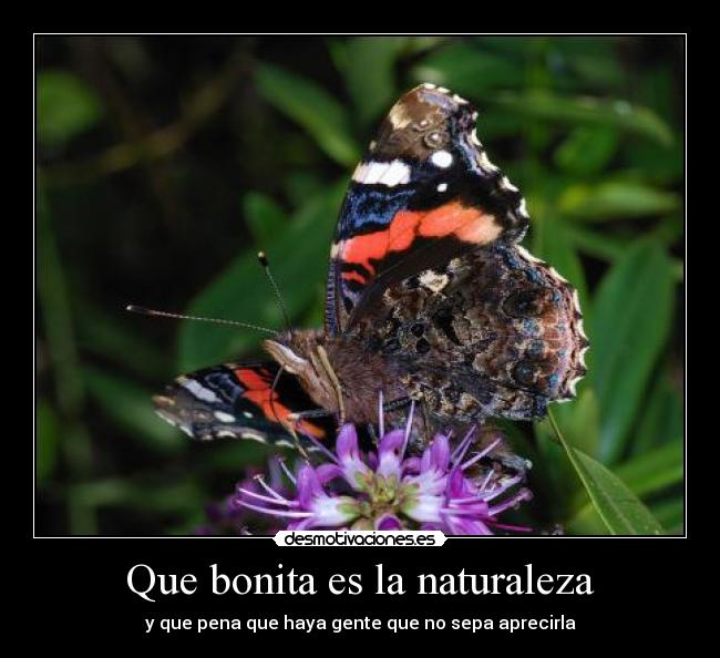 Que bonita es la naturaleza -