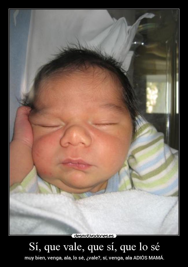 Sí, que vale, que sí, que lo sé -