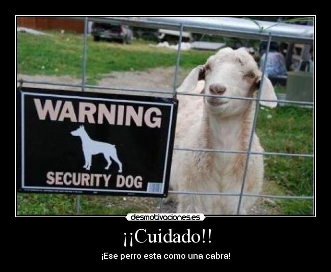 ¡¡Cuidado!! - ¡Ese perro esta como una cabra!