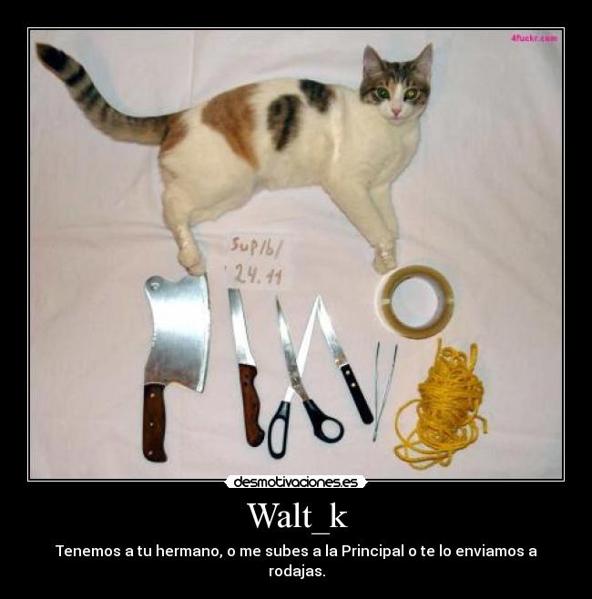 Walt_k - Tenemos a tu hermano, o me subes a la Principal o te lo enviamos a rodajas.