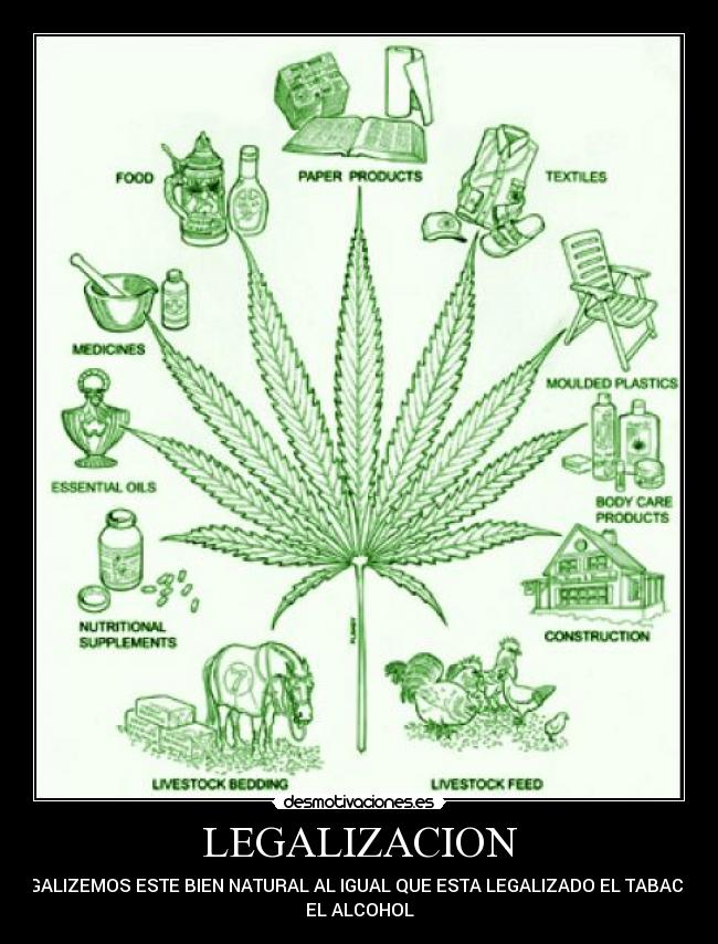 LEGALIZACION - LEGALIZEMOS ESTE BIEN NATURAL AL IGUAL QUE ESTA LEGALIZADO EL TABACO Y
EL ALCOHOL