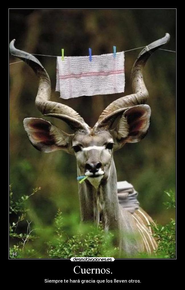 carteles cornudo desmotivaciones