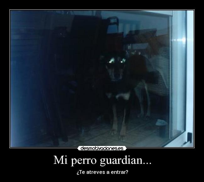 Mi perro guardian... - ¿Te atreves a entrar?