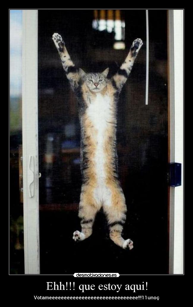 Ehh!!! que estoy aqui! - Votameeeeeeeeeeeeeeeeeeeeeeeeeeeeee!!!11unoç