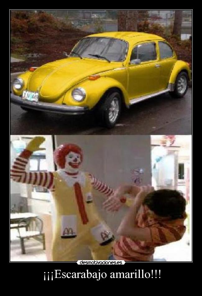 ¡¡¡Escarabajo amarillo!!! -