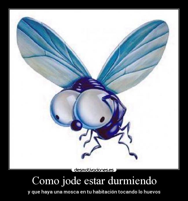 Como jode estar durmiendo -