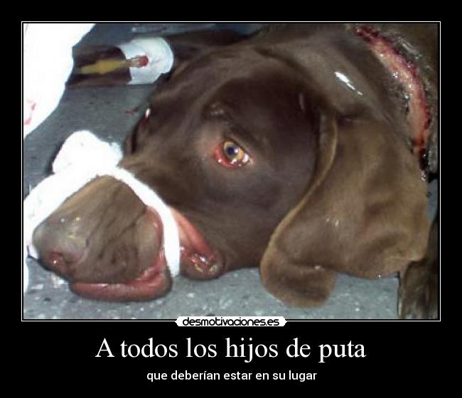A todos los hijos de puta -