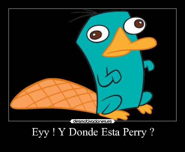 Eyy ! Y Donde Esta Perry ? - 