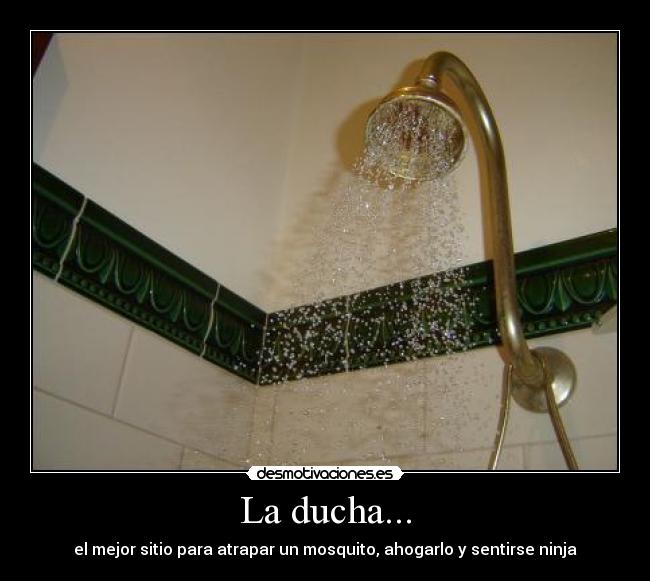 La ducha... - el mejor sitio para atrapar un mosquito, ahogarlo y sentirse ninja
