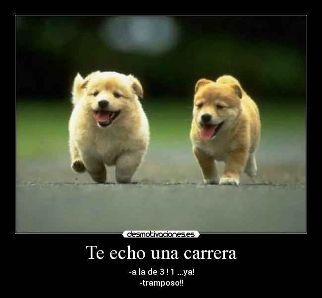 Te echo una carrera -