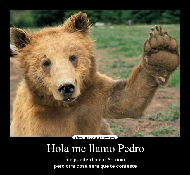 Hola me llamo Pedro - 