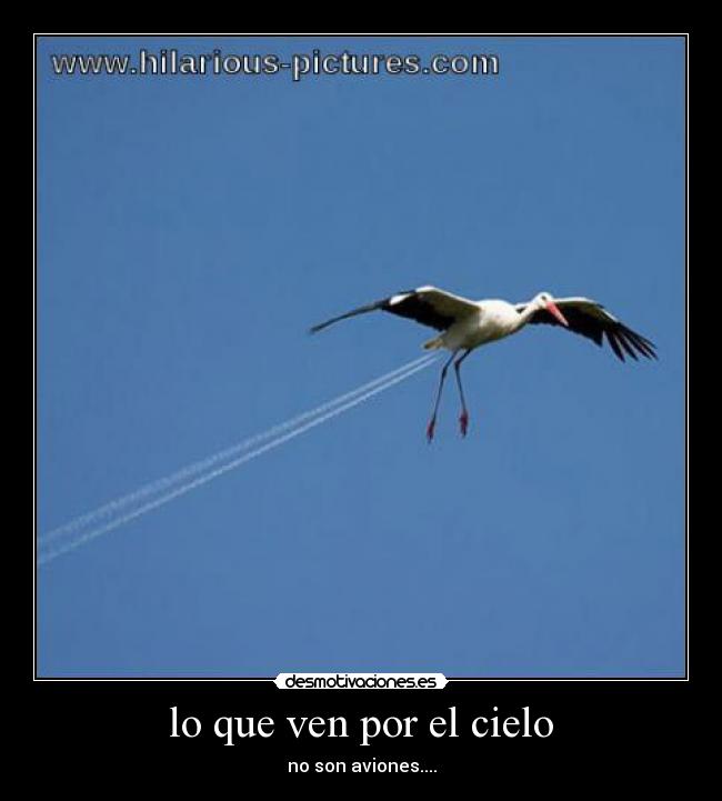 lo que ven por el cielo - 
