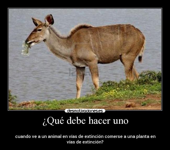 ¿Qué debe hacer uno -