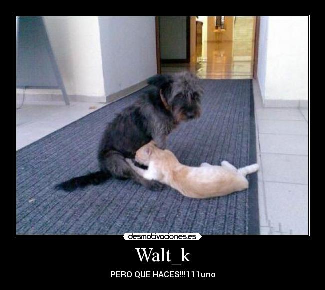 Walt_k - PERO QUE HACES!!!111uno