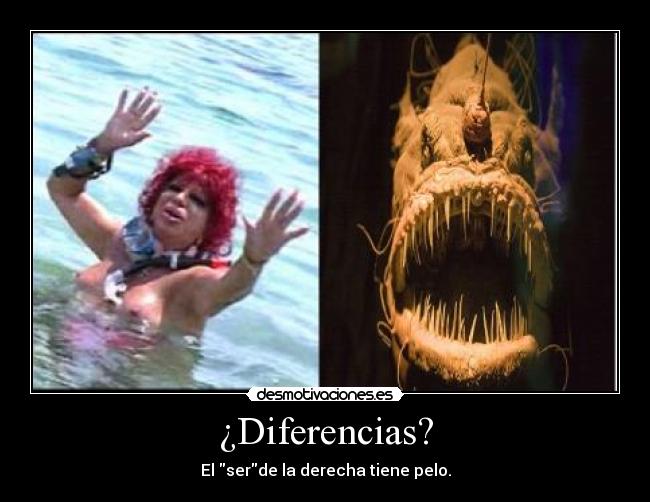 carteles diferencias desmotivaciones