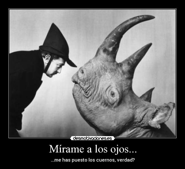 carteles rinoceronte desmotivaciones